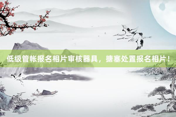 低级管帐报名相片审核器具，搪塞处置报名相片！