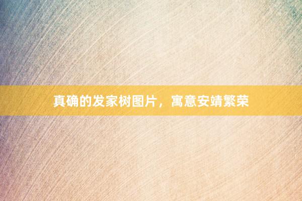 真确的发家树图片，寓意安靖繁荣