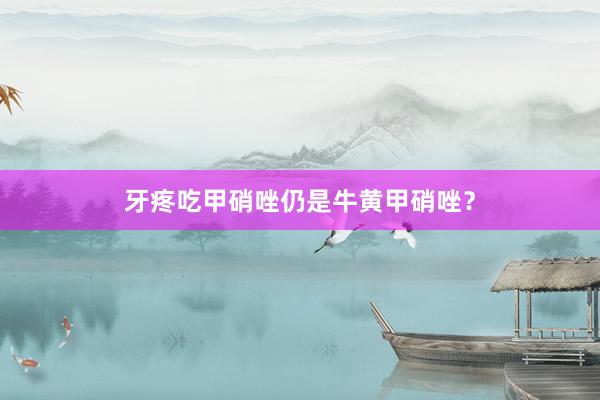牙疼吃甲硝唑仍是牛黄甲硝唑？