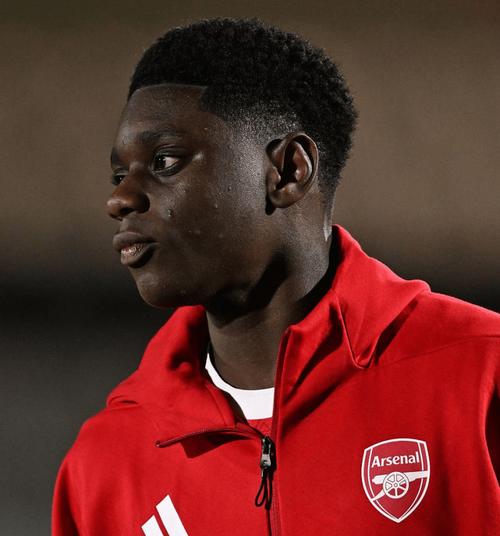 入选大名单，18岁易卜拉欣昨天才与阿森纳签下职业合同插图